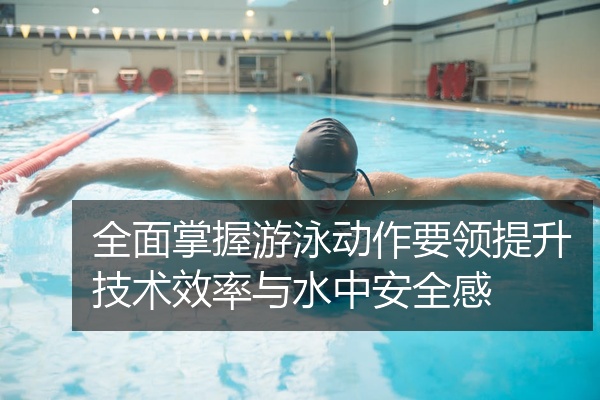 全面掌握游泳动作要领提升技术效率与水中安全感